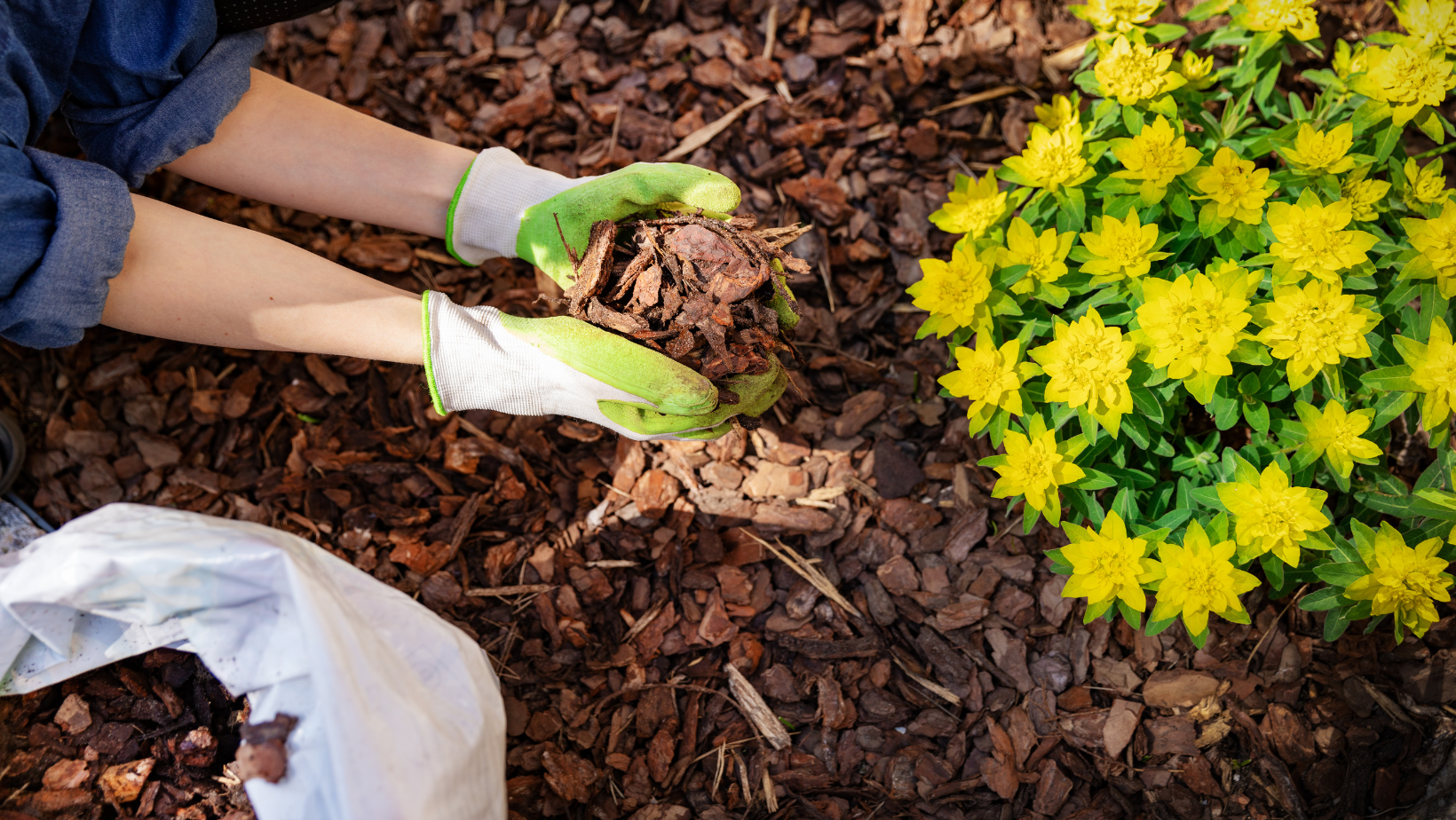 use compost in spring gardening